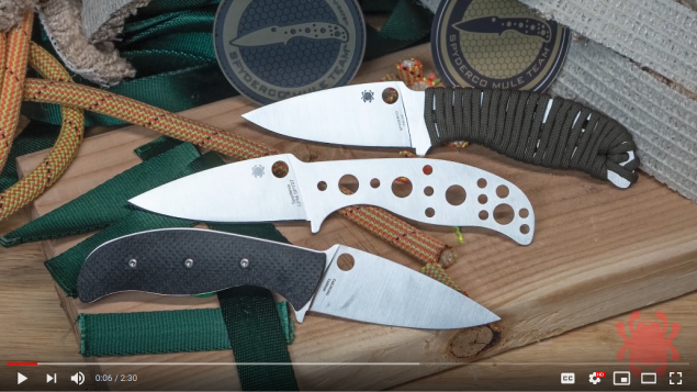 File:Mule Team Video Screenshot.png