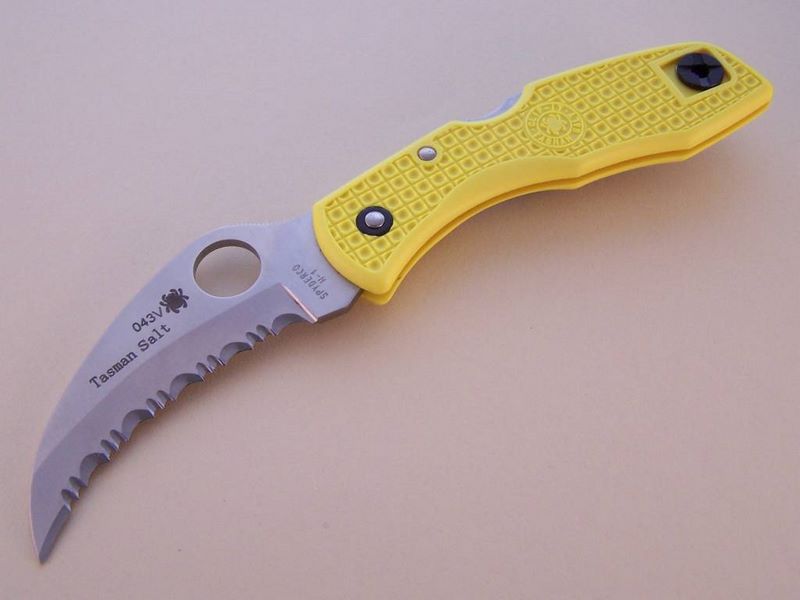 File:Tasman yellow se.jpg
