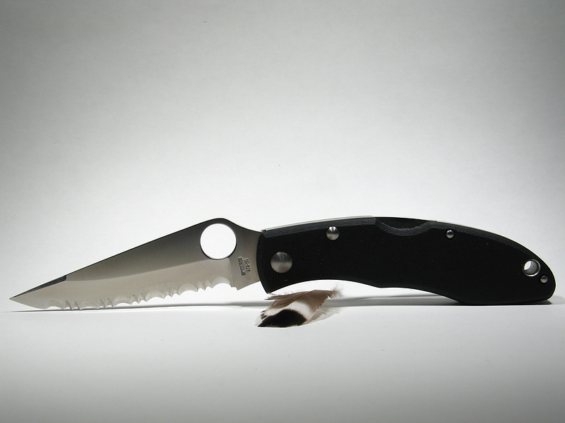 File:C51GS Rookie 102.jpg