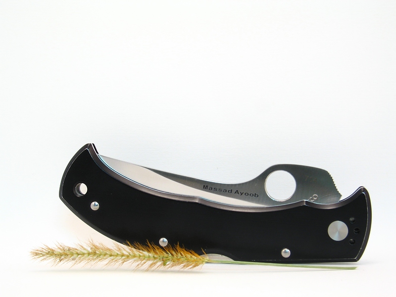 File:C60P Massad Ayoob 105.jpg