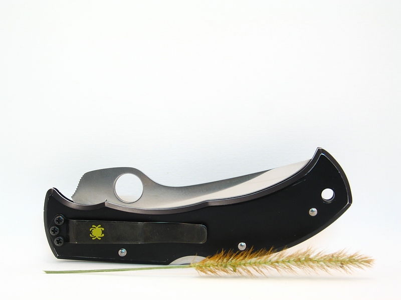 File:C60P Massad Ayoob 106.jpg