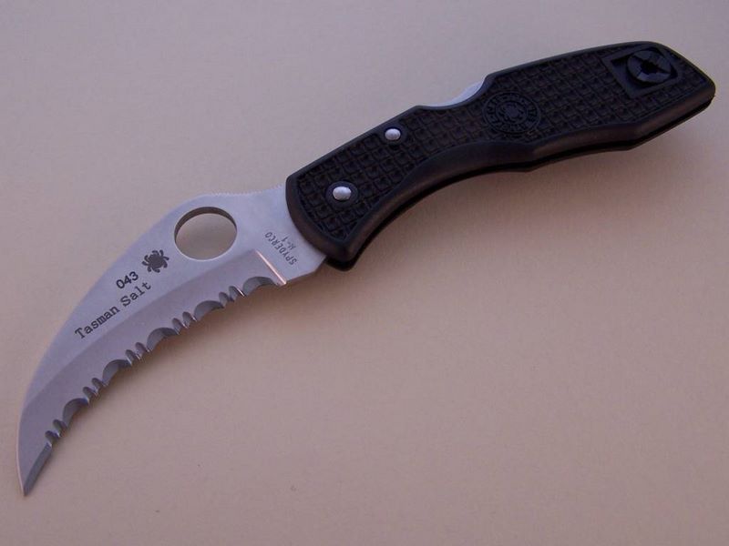 File:Tasman black se.jpg