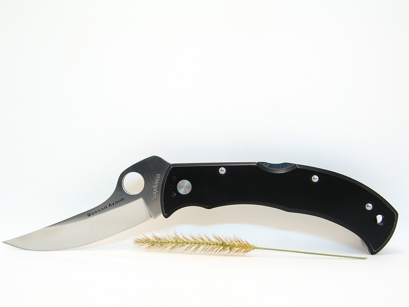 File:C60P Massad Ayoob 103.jpg