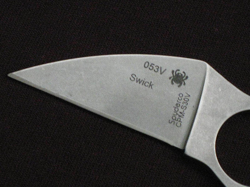 File:Swick original CC closeup.jpg