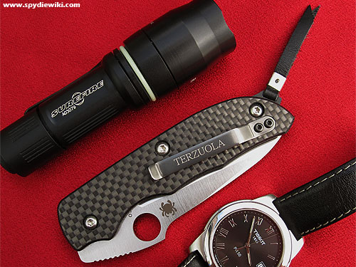 File:Spydiewiki terzuolaslipit closed.jpg