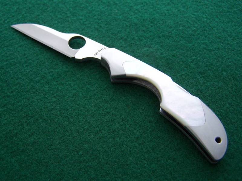 File:Agr mop kiwi.jpg