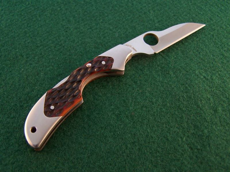 File:Chestnut bone kiwi.jpg