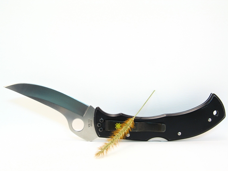 File:C60P Massad Ayoob 104.jpg