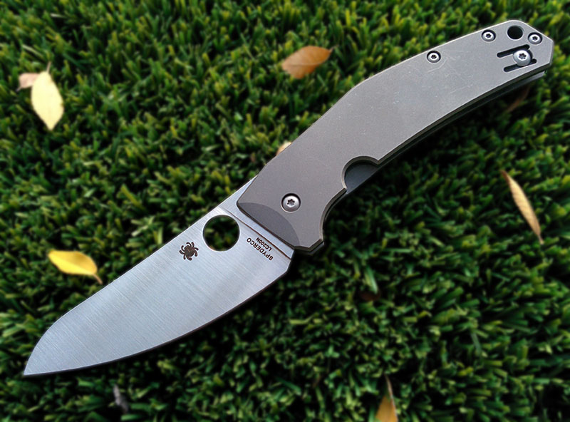 File:C211 SpydieChef.jpg