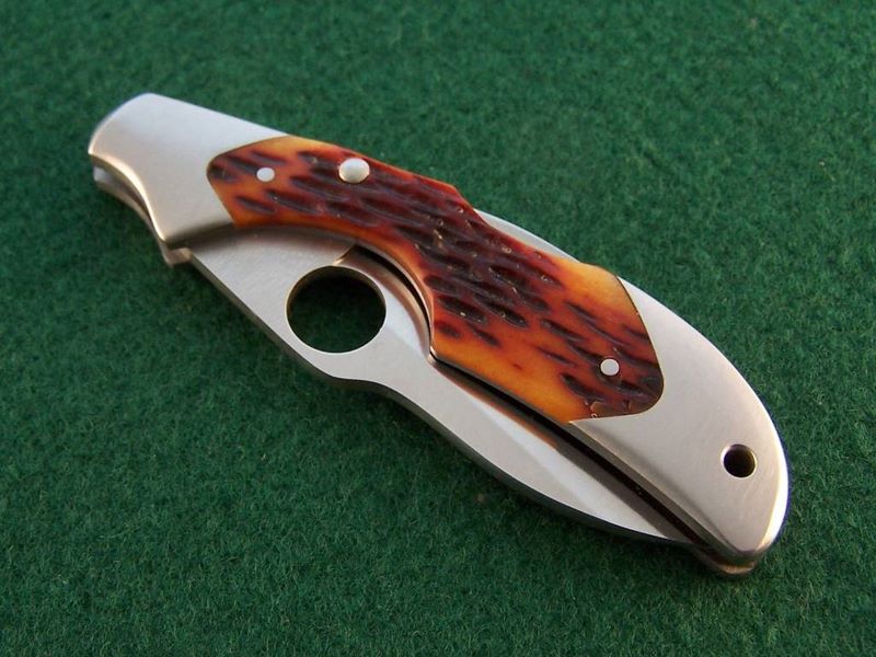 File:Closed kiwi.jpg