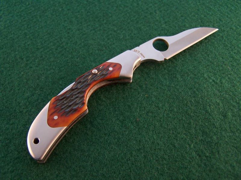 File:Amber bone kiwi.jpg