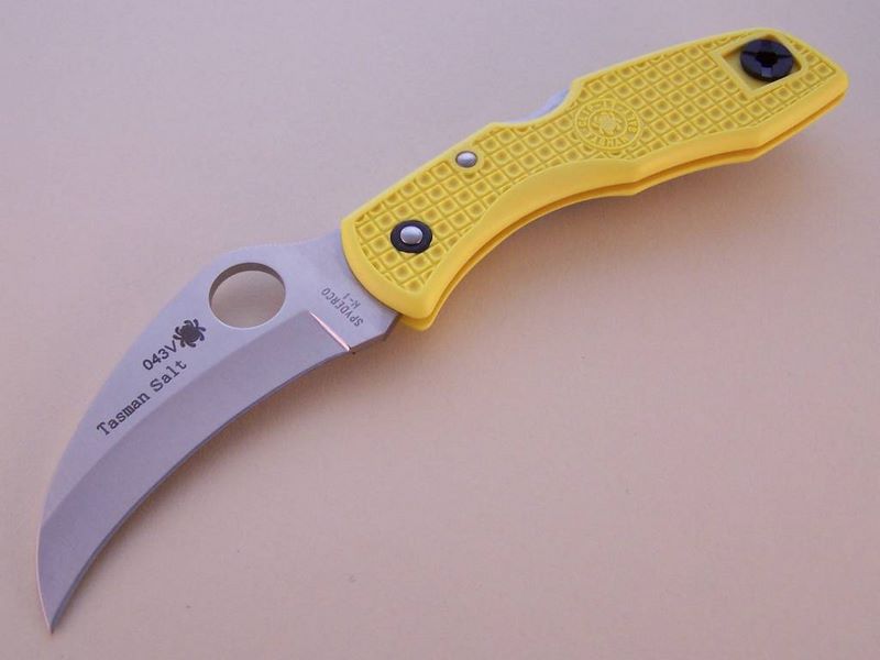 File:Tasman yellow pe.jpg