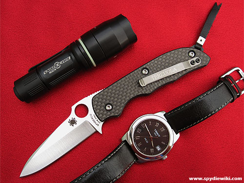 File:Spydiewiki terzuolaslipit.jpg