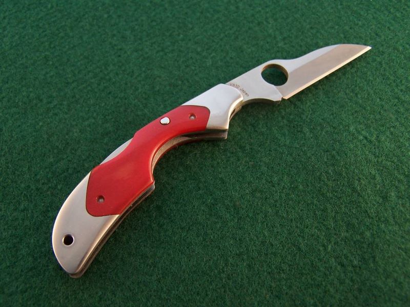 File:Pinned red bone kiwi.jpg
