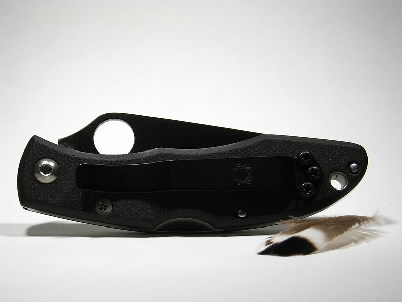 File:C51GS Rookie 105.jpg