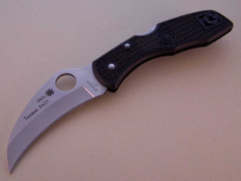 File:Tasman black pe.jpg