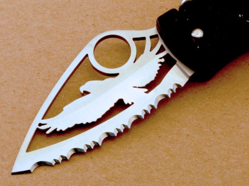 File:C35 Q Spyderco Eagle.jpg